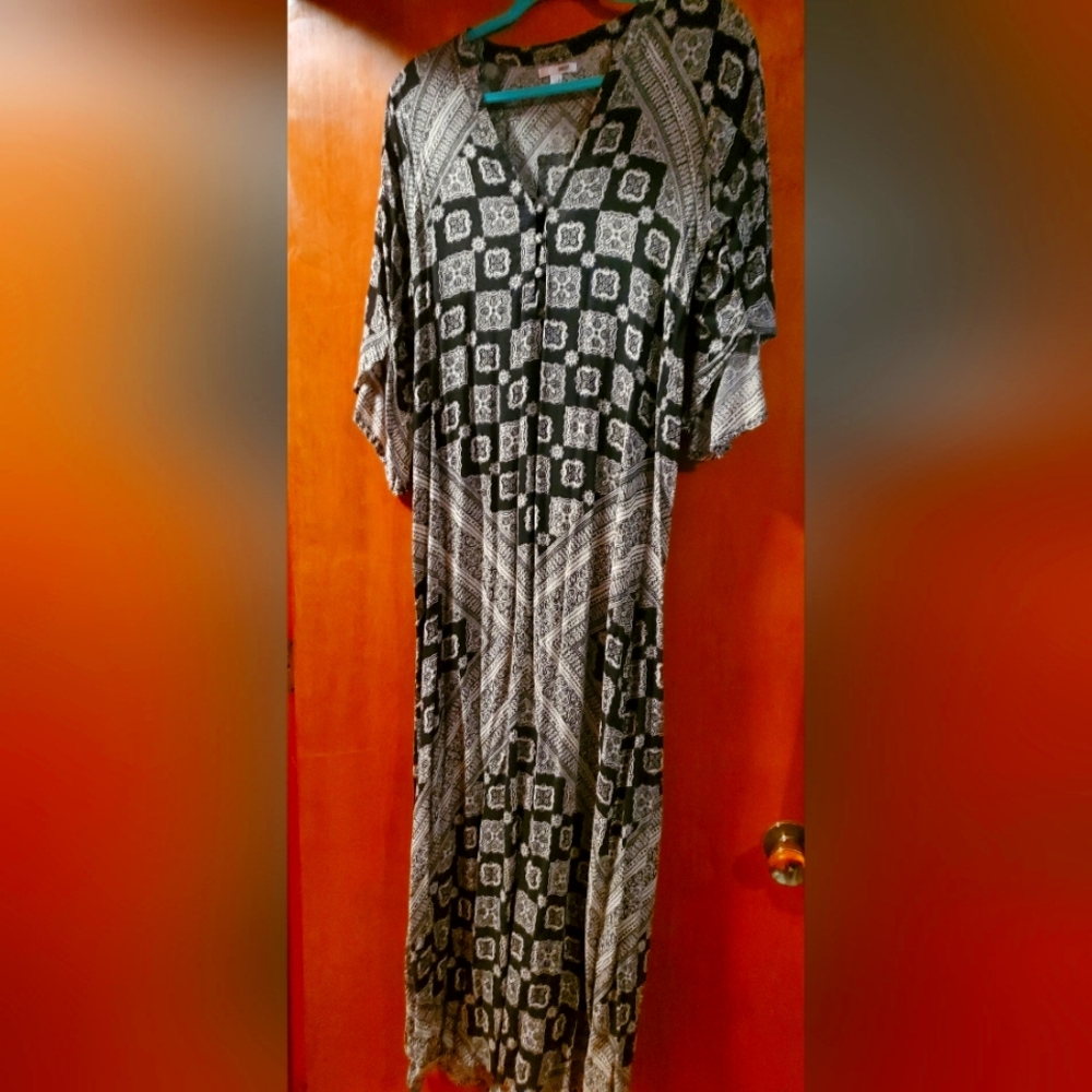 AMUSE SOCIETY DRESS